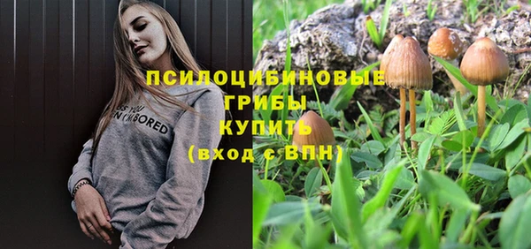 дмт Нефтекумск