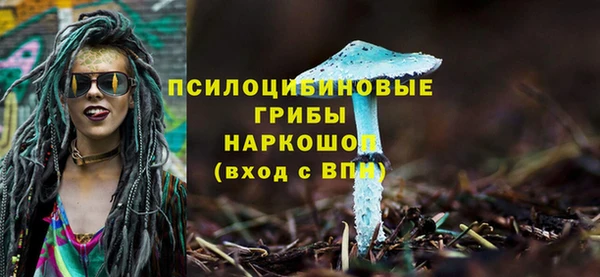 mdpv Алексин